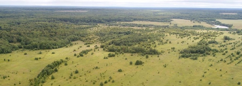 В Правительстве области подвели промежуточные итоги работы по контролю за целевым использованием земельных участков сельхозназначения