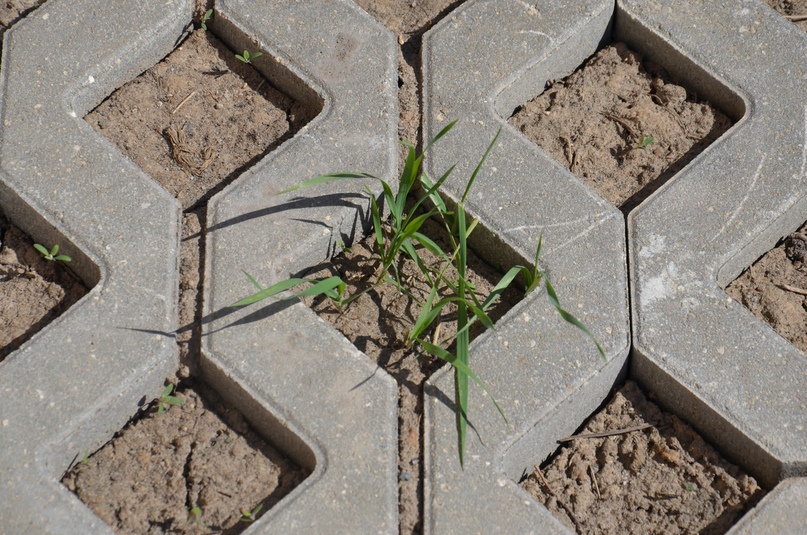 Муниципальное учреждение «Агентство по развитию ТМР» продолжает проводить обследование выполненных работ в рамках гарантийных обязательств по контрактам на ремонт улично-дорожной сети и дворовых территорий