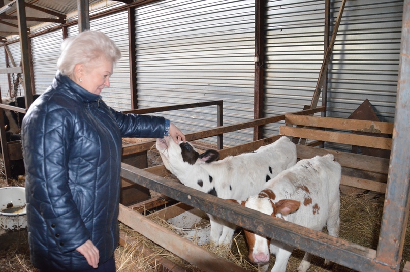 НЕ РАДИ ПРИБЫЛИ, А ДЛЯ ДУШИ