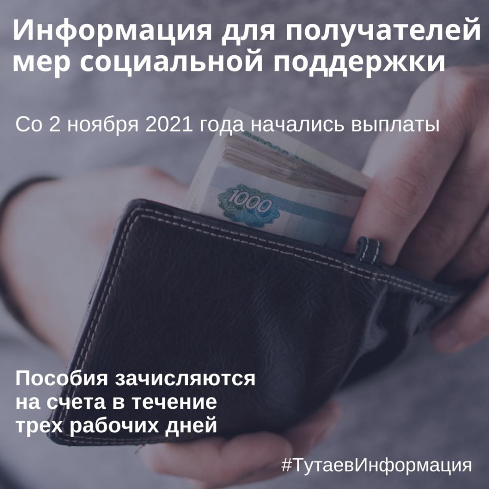 Какие пособия начнут выплачивать в ноябре