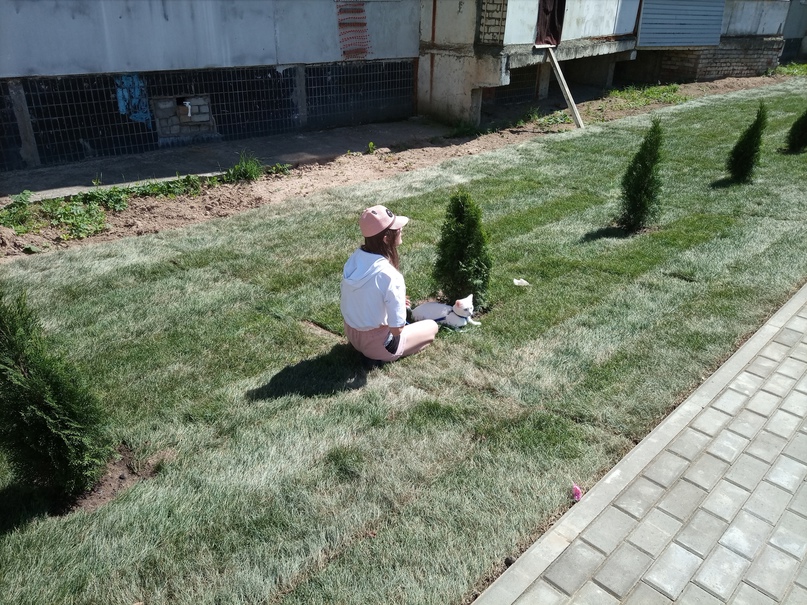 Благоустроен двор уникального дома