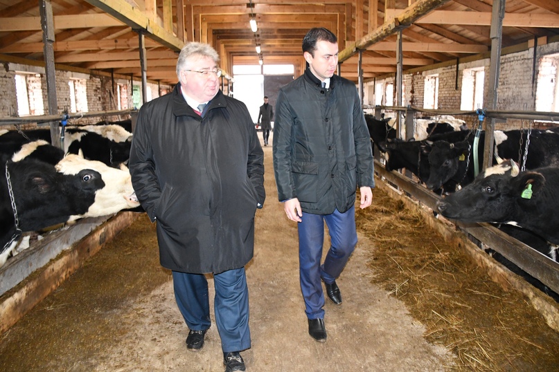 Областные депутаты посетили сельскохозяйственные предприятия Тутаевского района