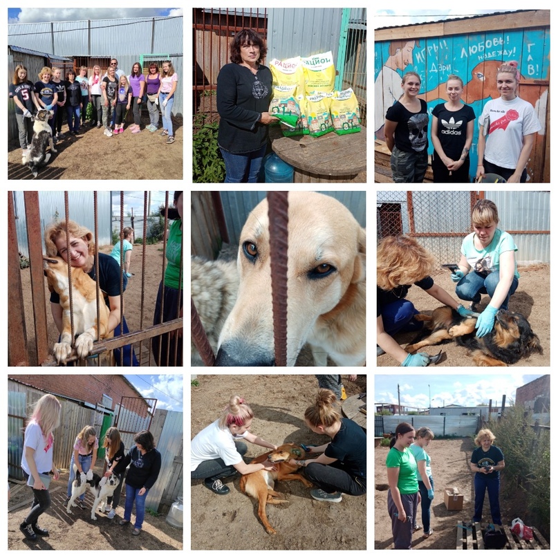 Приют фонда «Право на жизнь»: доброе дело