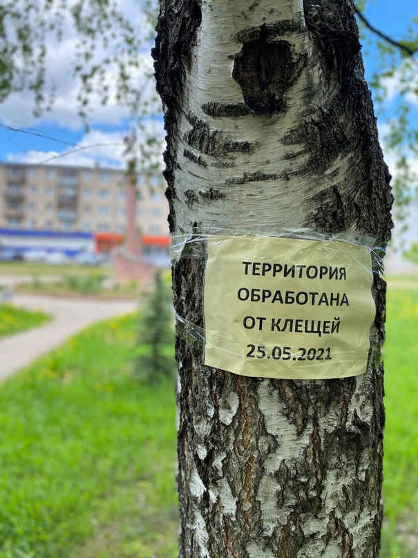 ПО ИНФОРМАЦИИ УПРАВЛЕНИЯ КОМПЛЕКСНОГО СОДЕРЖАНИЯ ГОРОДА   На этой неделе на территории города и на общественных кладбищах прошёл 2-й этап акарицидной (противоклещевой) отработки