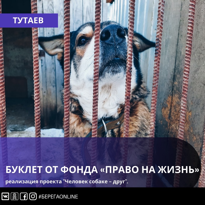 Буклет от фонда защиты животных «Право на жизнь»