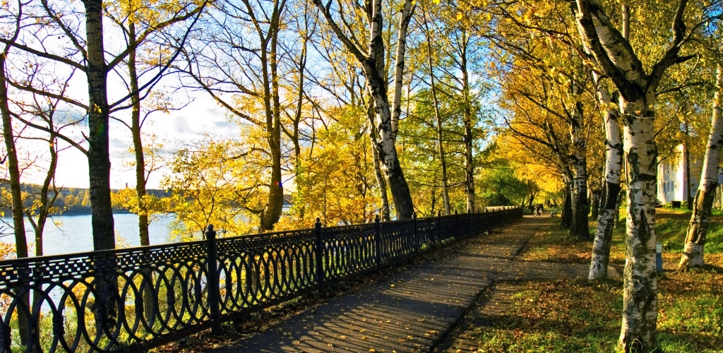 Кустодиевский бульвар