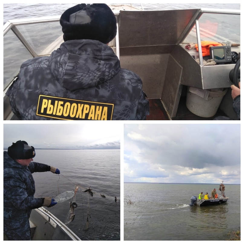 Рыбалка запрещена: начался нерест