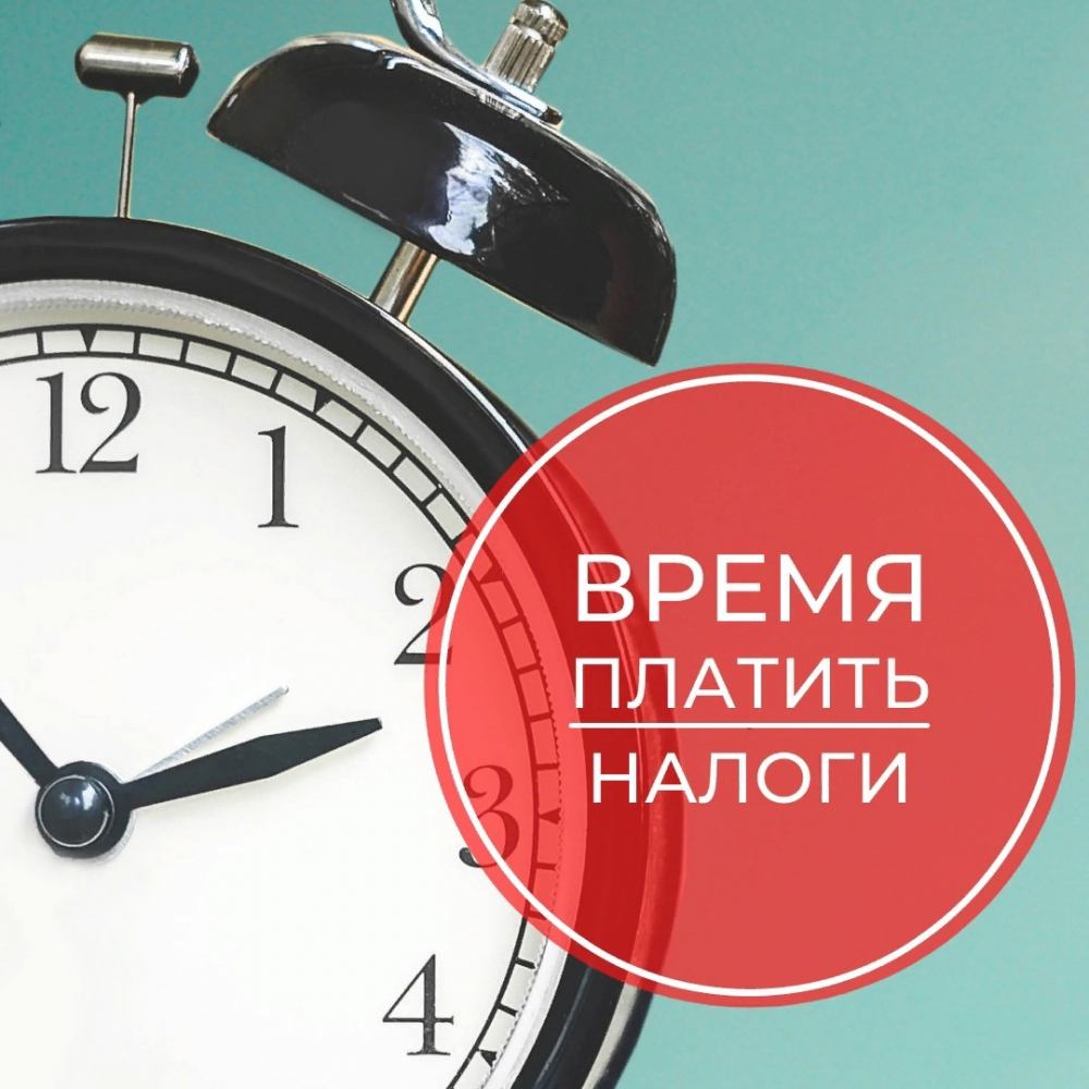 Не забыть уплатить налоги. Уведомления рассылаются