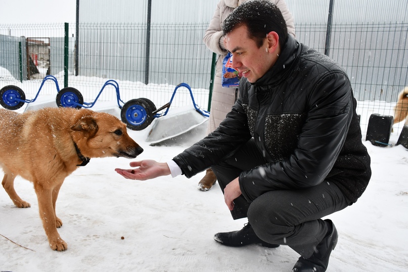 Глава района побывал сегодня в приюте для бездомных собак