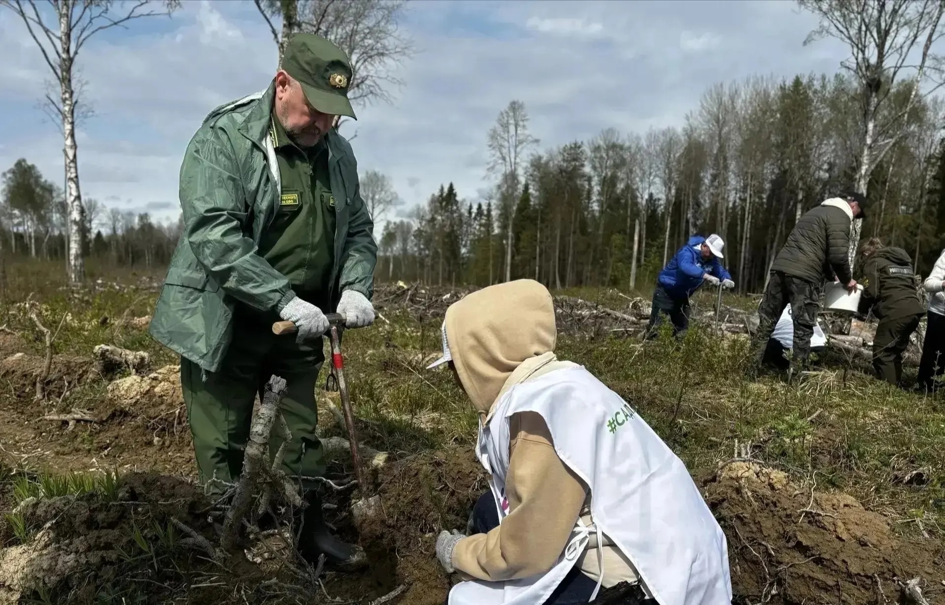 «Сад памяти»: высадили 6 тысяч елей в честь героев Великой Победы