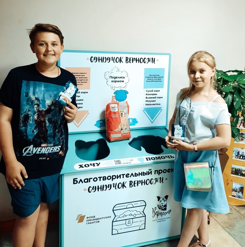 Акция помощи бездомным животным в Тутаевском районе расширяется