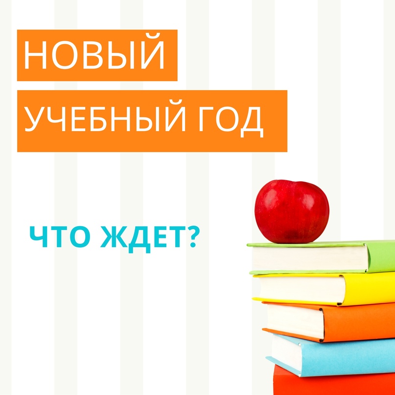 Мы подготовили для вас ответы на самые важные вопросы перед 1 сентября