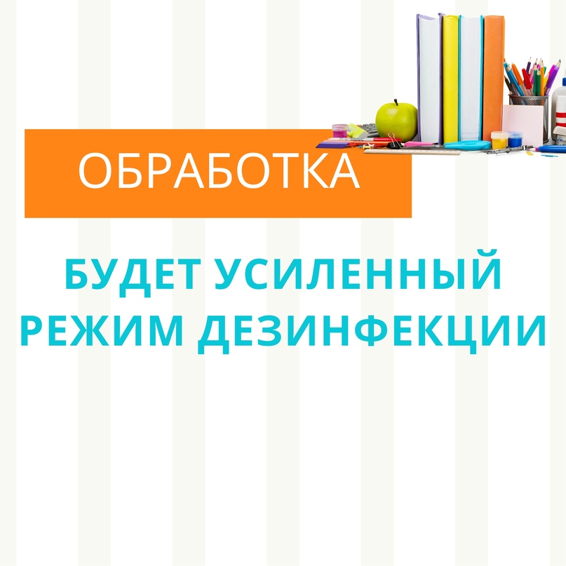 Мы подготовили для вас ответы на самые важные вопросы перед 1 сентября