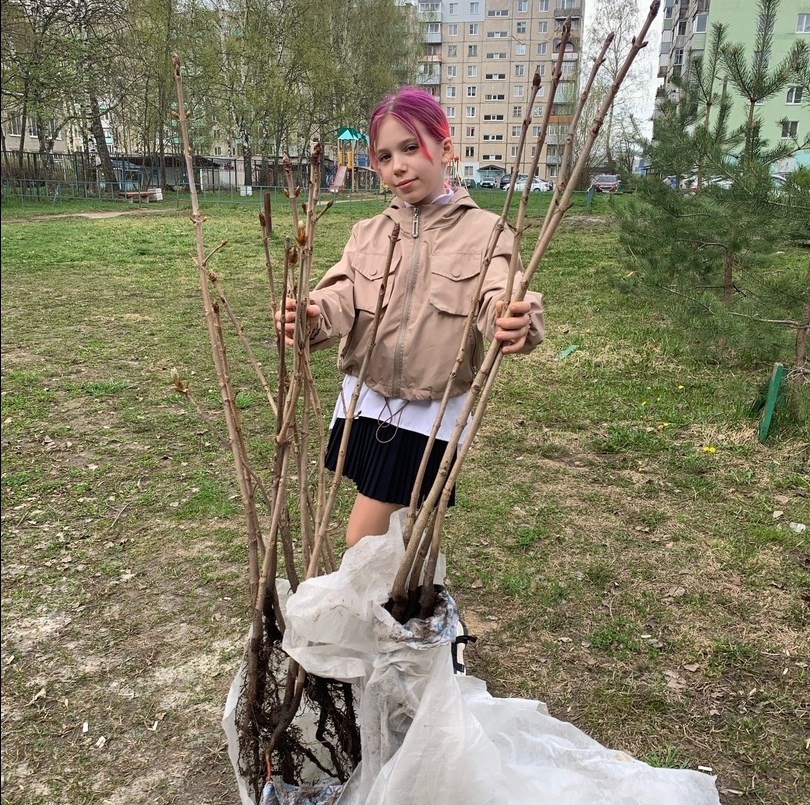 Девочка из Тутаева подарила городу выращенные своими руками каштаны