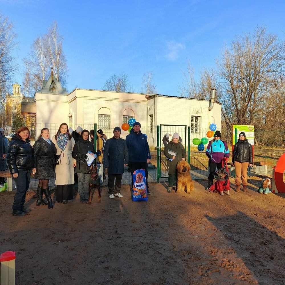 В Константиновском впервые построили площадку для выгула собак