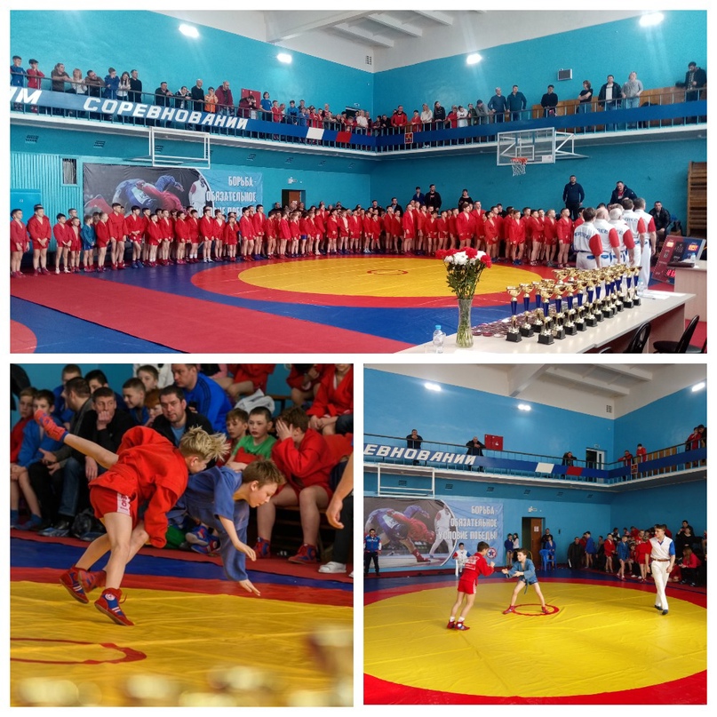 7 призовых мест юных самбистов из Тутаева