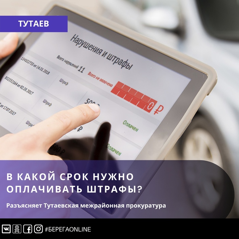 В какой срок нужно оплачивать штрафы?
