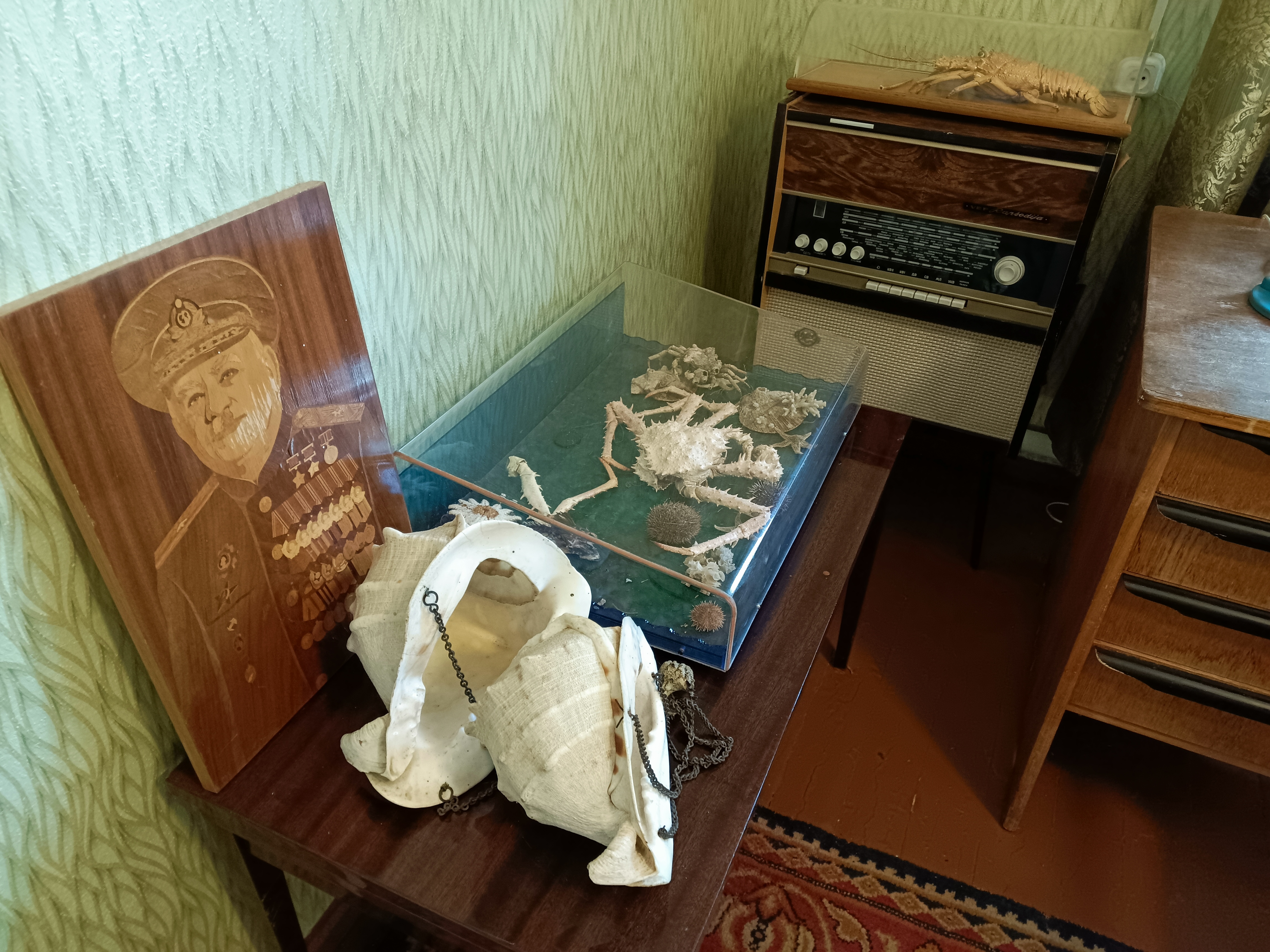 Иван Папанин: имя, вошедшее в историю страны