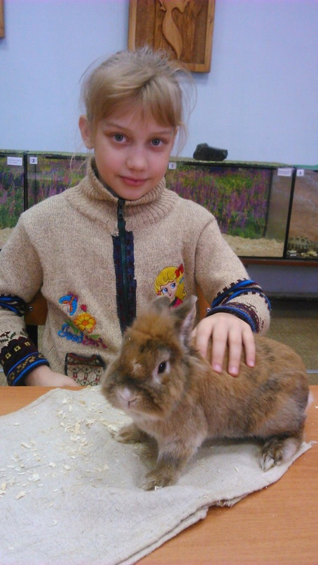 С сентября 2018 года в Тутаевском районе произойдет внедрение нового механизма финансирования дополнительного образования – именных сертификатов