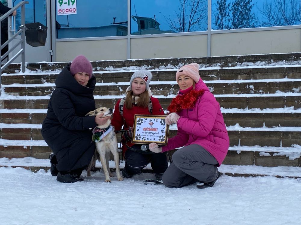 В Тутаеве прошла новогодняя акция "Экодвор"