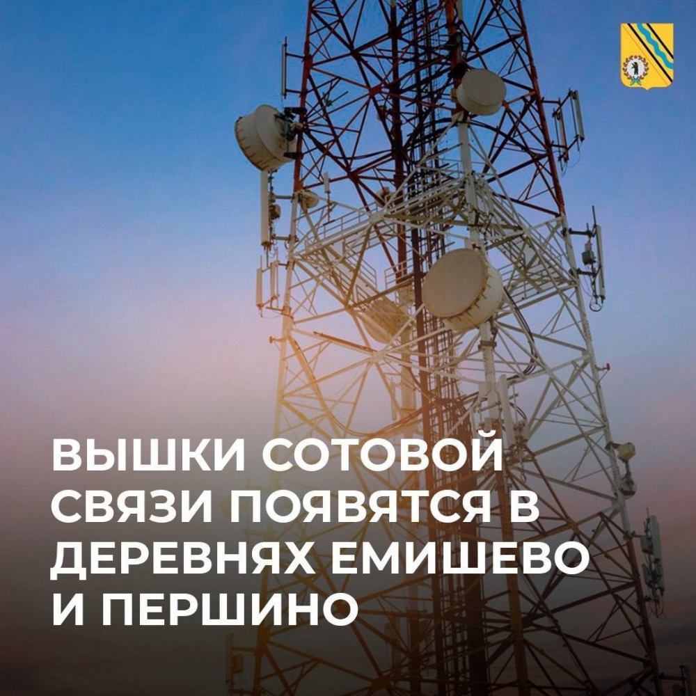 Интернет придет в Емишево и Першино