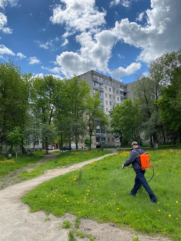 ПО ИНФОРМАЦИИ УПРАВЛЕНИЯ КОМПЛЕКСНОГО СОДЕРЖАНИЯ ГОРОДА   На этой неделе на территории города и на общественных кладбищах прошёл 2-й этап акарицидной (противоклещевой) отработки