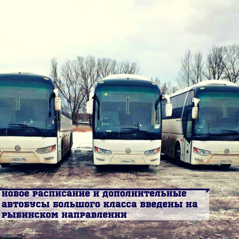 МАРШРУТ № 500: БОЛЬШЕ АВТОБУСОВ