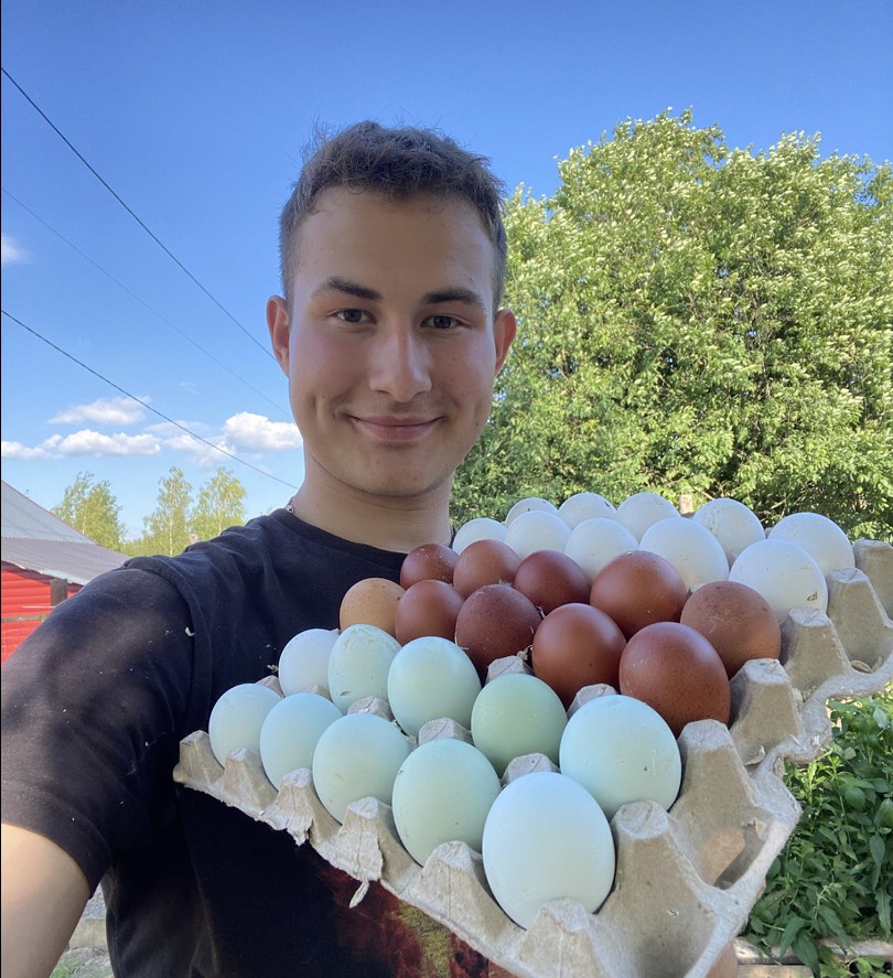Яичная радуга. Тутаевский ветеринар разводит кур, несущих цветные яйца