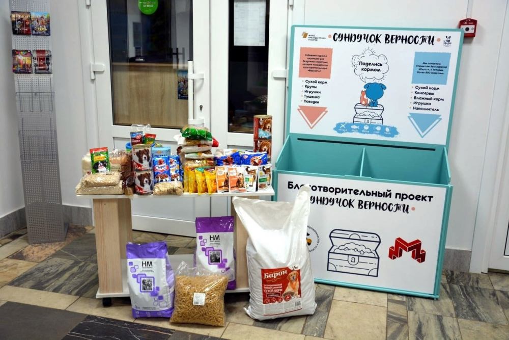 В молодежном центре "Галактика" принимаются подарки для собак из приюта