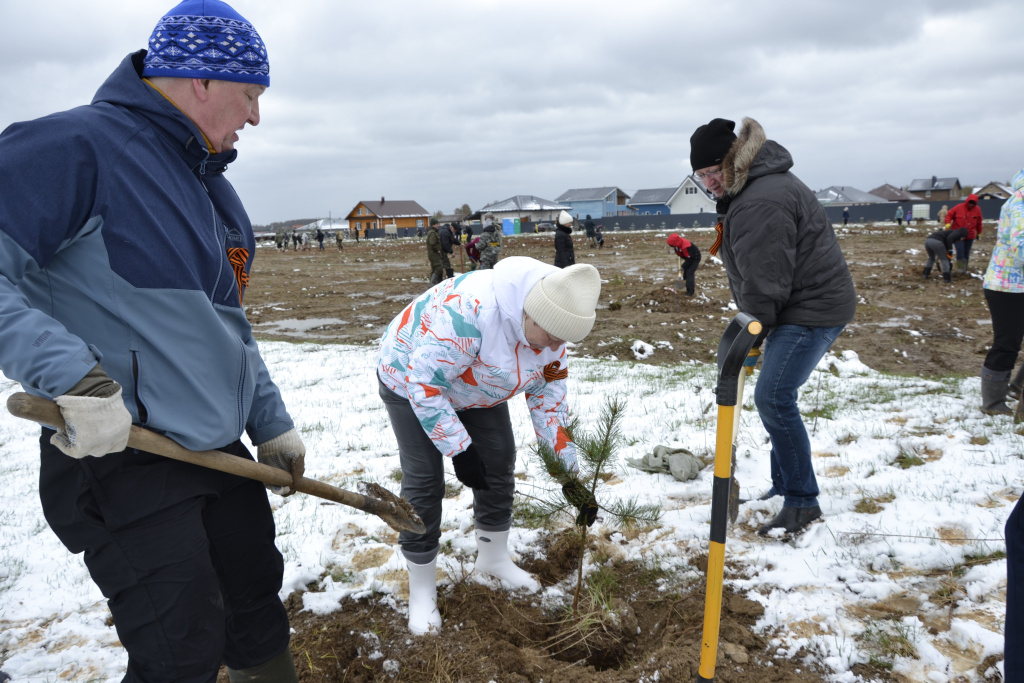 Фото 6 Сад памяти.jpeg