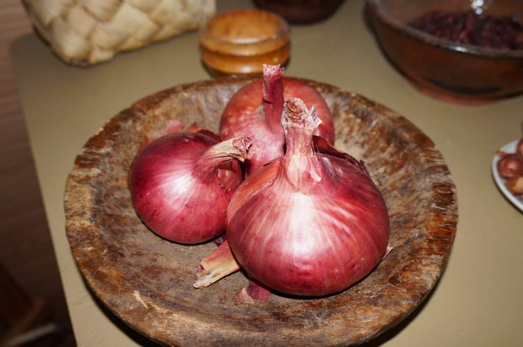 Романовский лук.JPG